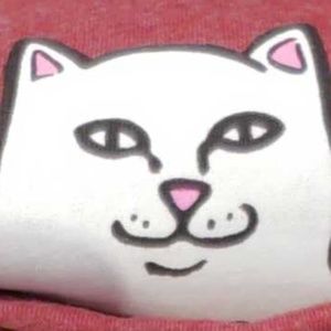 Meet your Posher, Cole